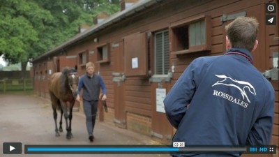 Rossdales Equine Vets